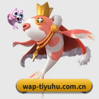 足球比分球探比分网 APP