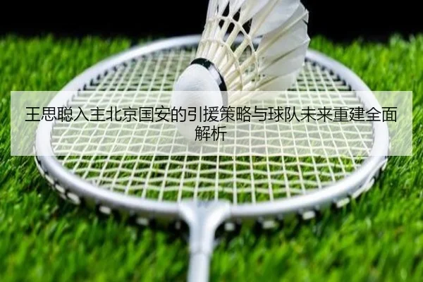 王思聪入主北京国安的引援策略与球队未来重建全面解析