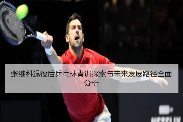 张继科退役后乒乓球青训探索与未来发展路径全面分析
